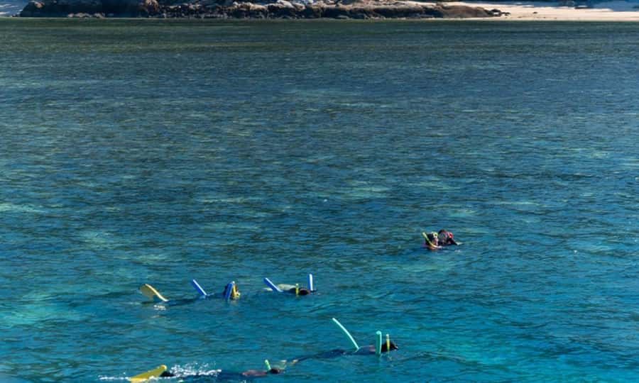 Whitsunday: Whitsunday Islands Tour with Snorkeling & Lunch - Whitehaven Beach Picnic: Lunch That Actually Fills You Up