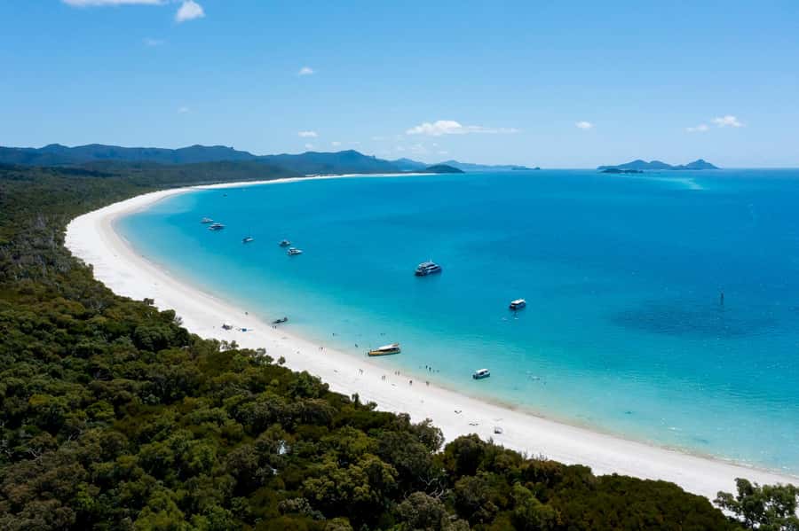 Whitsundays: 2 days 1 night Sailing, Snorkeling, Whitehaven - Key highlights to watch for on Habibi