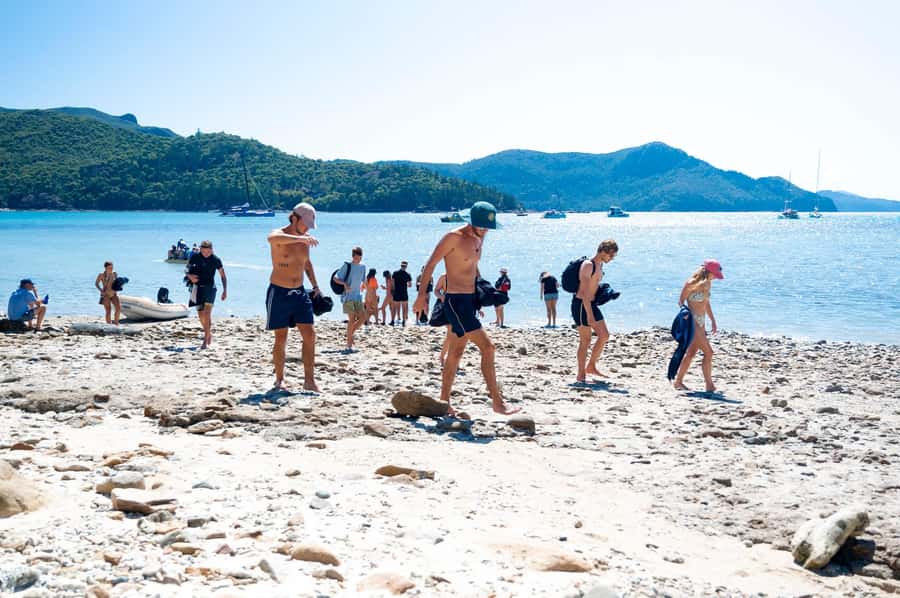 Whitsundays: 2 days 1 night Sailing, Snorkeling, Whitehaven - Snorkeling on the Great Barrier Reef: gear, safety, and what to do once you get in