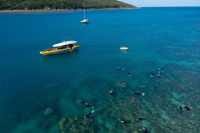 Whitsundays Day Cruise: Whitehaven Beach & Hill Inlet - Key Points You Should Know Before You Go