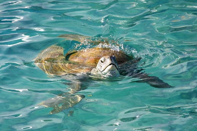 Whitsundays Guided Jet Ski Tour - Choosing your Whitsundays jet ski route: Airlie Adventure, Two-Island Safari, Ultimate Island Trek