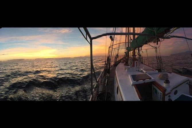 Whitsundays Sunset Sailing Cruise - What the crew vibe is really like onboard