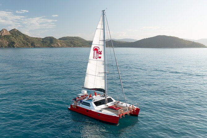 Whitsundays Sunset Sailing Cruise - Nibbles, champagne toast, and the real drink situation