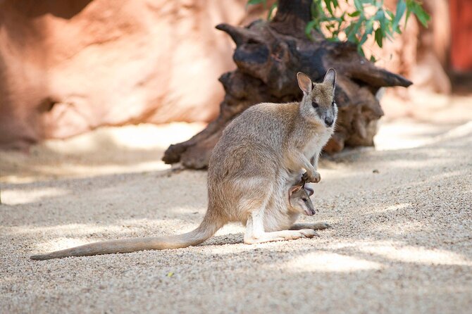 WILD LIFE Sydney Entrance Ticket - Price and what you are really buying