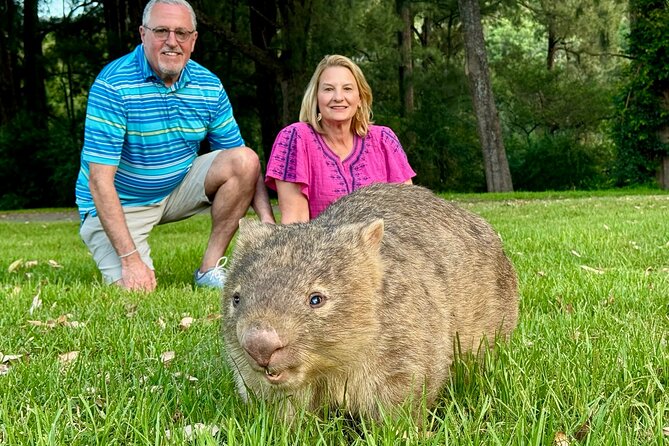 WILD Wombat and Kangaroo Day Tour, All Inclusive - Quick Takeaways