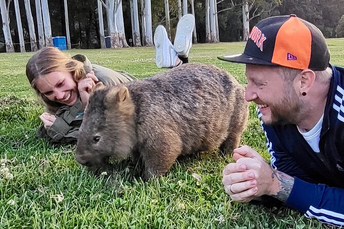 WILD Wombat and Kangaroo Day Tour, All Inclusive - Southern Highlands Wildlife Time: Wombats and Kangaroos at Dusk