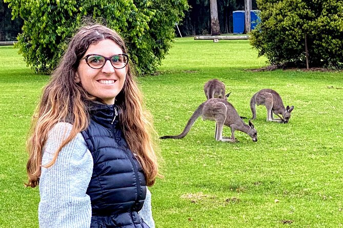 WILD Wombat and Kangaroo Day Tour, All Inclusive - Macquarie Pass National Park and Robertson Pie Shop: Scenic Driving and a Real Lunch Break