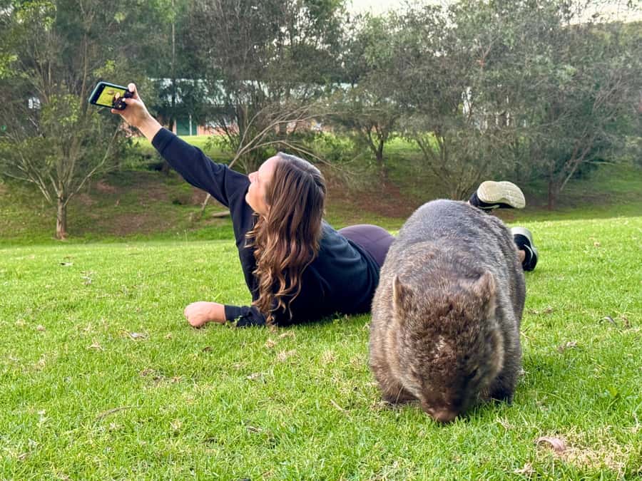 WILD Wombats and Kangaroo Experience, All Inclusive, Sydney - Getting Out of Sydney: Small-Group Comfort and Real Schedule Time