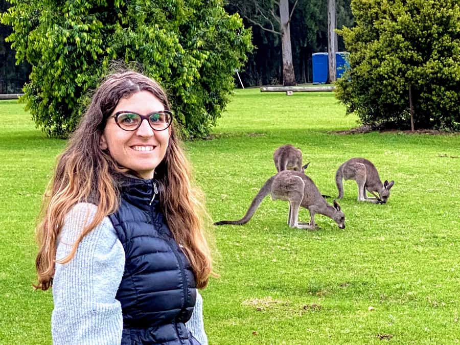 WILD Wombats and Kangaroo Experience, All Inclusive, Sydney - Macquarie Pass to Robertson Pie Shop: How the Tour Keeps Energy Up
