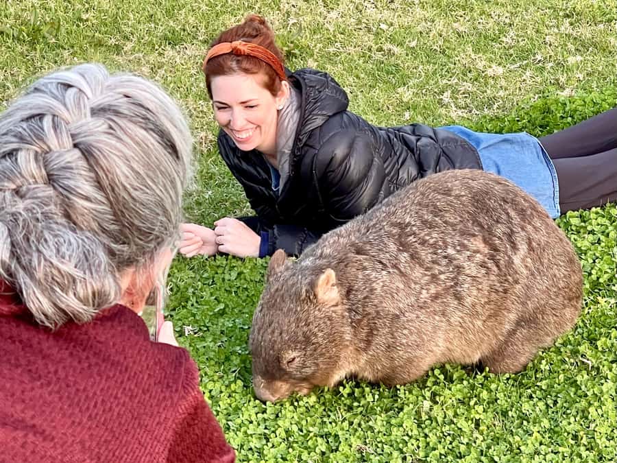 WILD Wombats and Kangaroo Experience, All Inclusive, Sydney - Budderoo National Park and Its Forest Walks (Plus the Beer Stop)