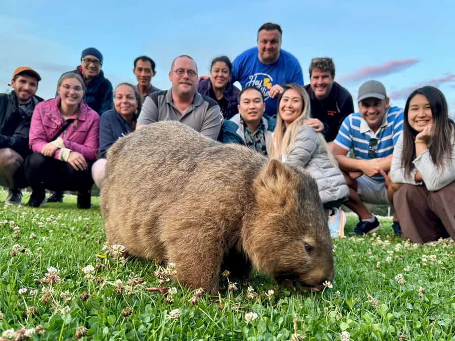 WILD Wombats and Kangaroo Experience, All Inclusive, Sydney - Morton National Park: Waterfall Scenery and the Hidden-Gem Dinner Window