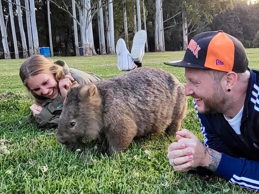 WILD Wombats and Kangaroo Experience, All Inclusive, Sydney - The Cliff-Top Start: 180-Degree Views Before the Wildlife Chase