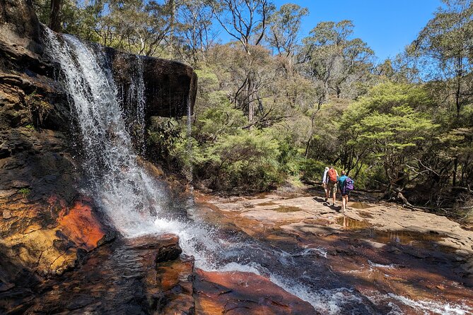 Wilderness, Waterfalls, Three Sisters BLUE MOUNTAINS PRIVATE TOUR - Wentworth Falls Lookout: waterfall canyon time you can actually hike