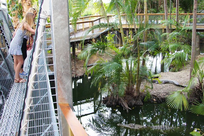 Wildlife Habitat Port Douglas - Treetop canopy walk for rainforest views