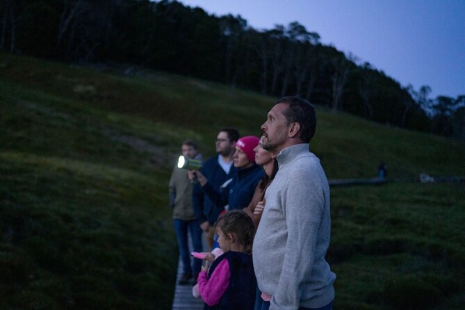 Wildlife Night Spotting at Cradle Mountain - Price and value: is $89.66 a good deal?