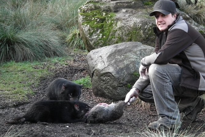 Wildlife Night Spotting at Cradle Mountain - Stop-by-stop: your 2-hour route through Cradle Mountain at night