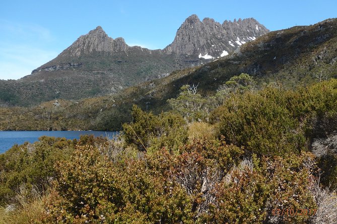 Wildlife Night Spotting at Cradle Mountain - Why the guide approach makes or breaks the experience
