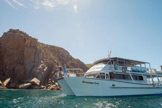 Wilsons Prom Whale Cruise - Getting there and what the timing means for your day