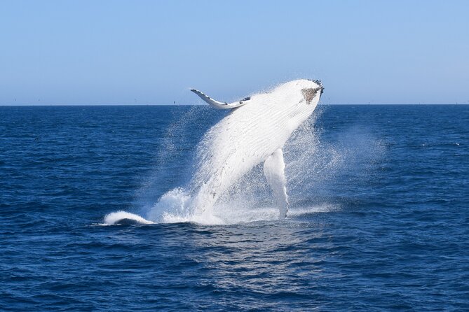 Wilsons Prom Whale Cruise - What you can expect on the catamaran (and how to make it comfy)