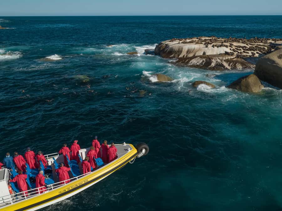 Wilsons Promontory: Afternoon Wilderness Cruise - Bass Strait cruising, plus The Glennies and Anderson Islets