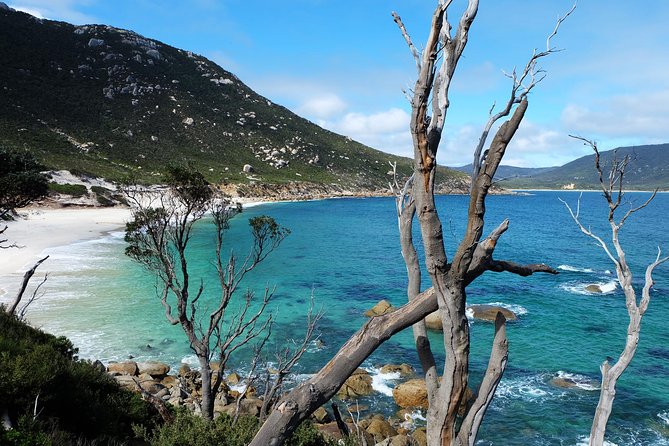 Wilsons Promontory Hiking Day Tour - 8 Person Max Small Group - The Mt Oberon summit walk: the payoff for hikers who want real views