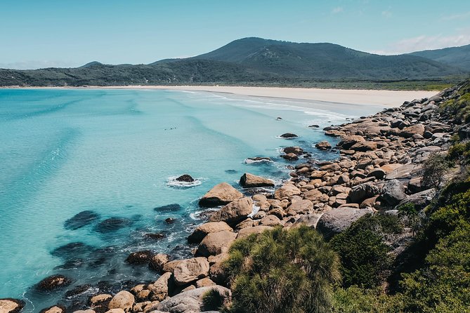 Wilsons Promontory Hiking Day Tour - 8 Person Max Small Group - Big Drift dunes: where the Prom looks otherworldly