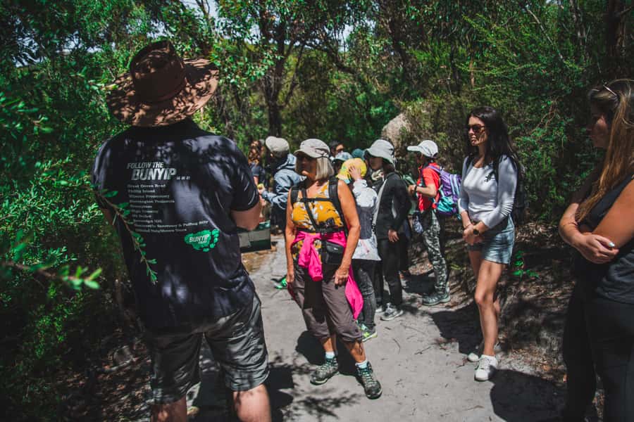 Wilsons Promontory National Park Full-Day Eco Tour - What to bring, what to wear, and how to handle rain-or-shine