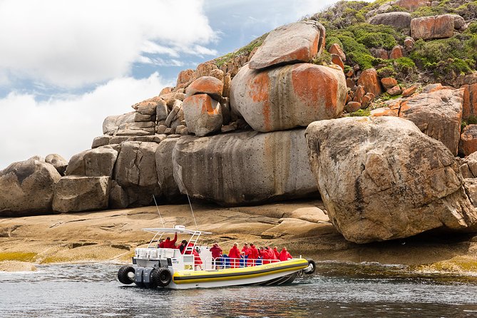 Wilsons Promontory Wilderness Cruise from Tidal River - Key things to know before you go