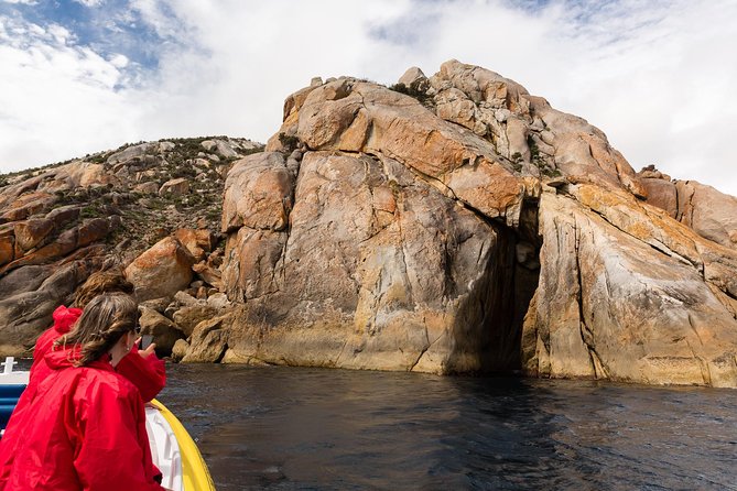 Wilsons Promontory Wilderness Cruise from Tidal River - Wildlife spotting without guessing: seals, whales, and seabirds