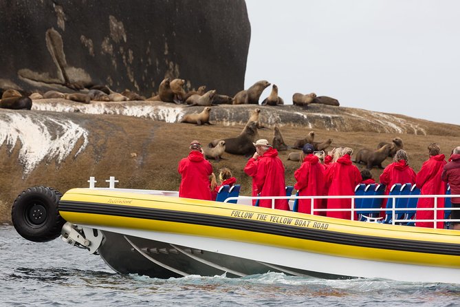 Wilsons Promontory Wilderness Cruise from Tidal River - The guide experience: biodiversity stories you can actually use
