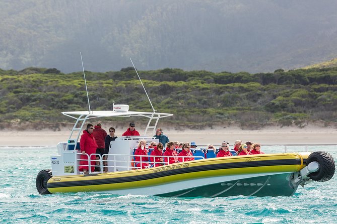 Wilsons Promontory Wilderness Cruise from Tidal River - Price and value at about $118.35 per person