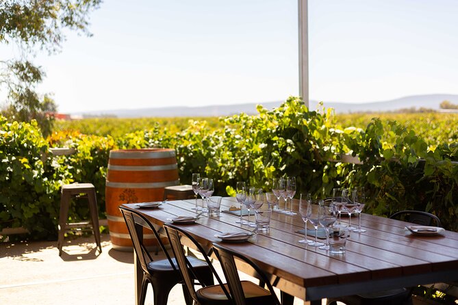 Wine Tasting Experience - Key highlights at a glance