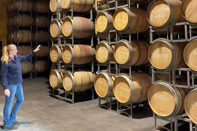 Wine Tasting Experience - Cheese plates, wine club moments, and buying bottles after the flight