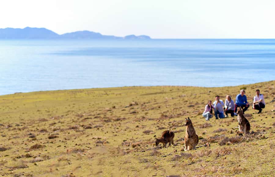 Wineglass Bay and Maria Island Scenic Flight Experience - Key highlights at a glance