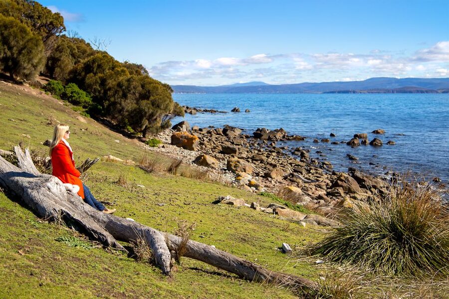 Wineglass Bay and Maria Island Scenic Flight Experience - Price and value: is $353 per person worth it