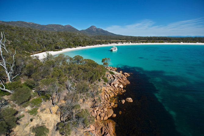 Wineglass Bay Cruise from Coles Bay - Price and Value: What $129.10 Covers (and What Costs Extra)