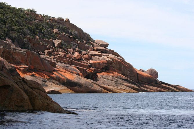 Wineglass Bay Cruise from Coles Bay - Where It Makes the Most Sense: Who Should Book This Cruise