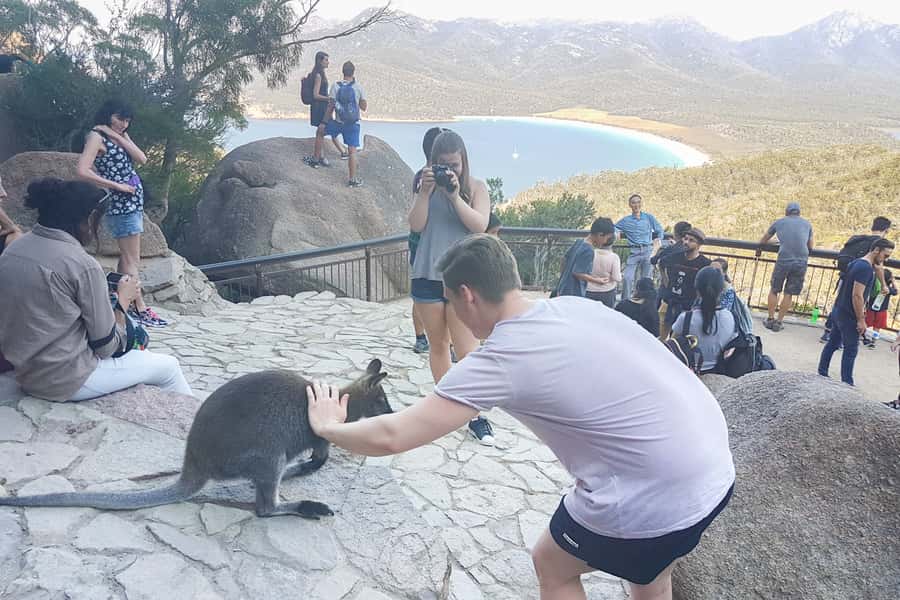 Wineglass Bay & Freycinet National Park Day Trip from Hobart - Why this day trip works so well