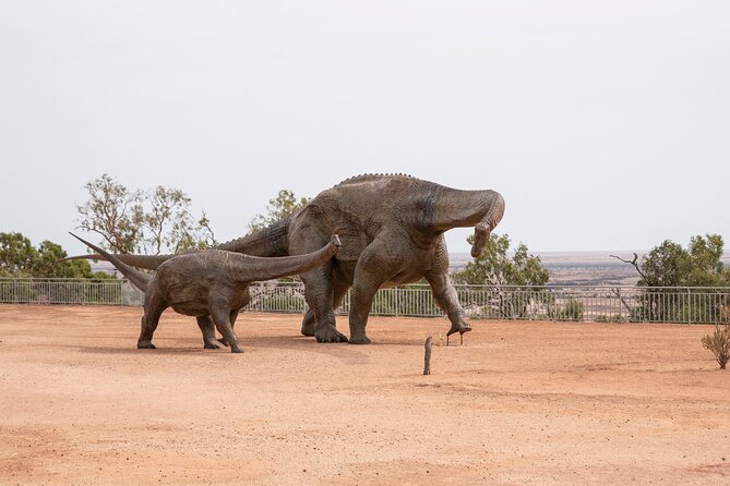 Winton Discovery Day Tour - Key Highlights You’ll Actually Notice