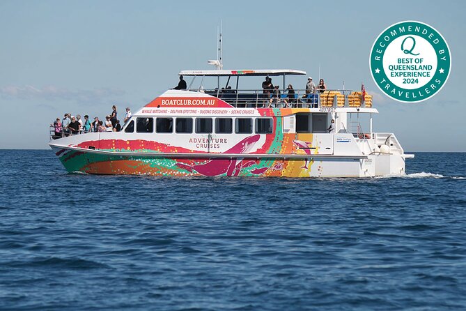 World class Whale Watching from Hervey Bay - Morning vs afternoon departures: how to choose your best timing