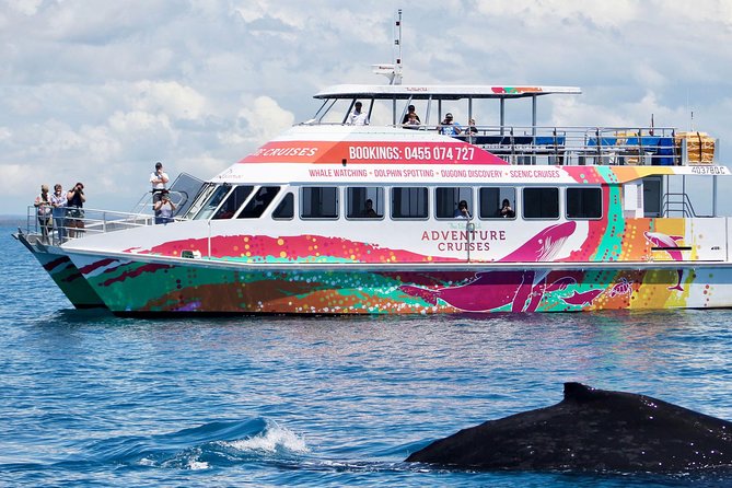 World class Whale Watching from Hervey Bay - Value check: how $86.07 stacks up for a “guaranteed sightings” whale watch