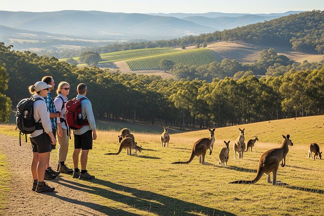 Yarra Valley by night! Private wine, whisky and dinner tour - Key highlights worth knowing