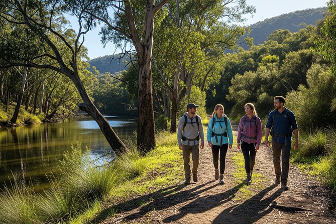 Yarra Valley by night! Private wine, whisky and dinner tour - Who should book this tour, and who should skip it