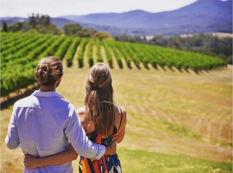 Yarra Valley Foodies Tour with Chandon and Kangaroo Safari! - Key things to know before you go