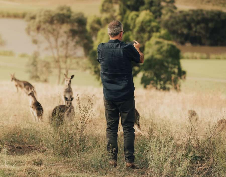 Yarra Valley Foodies Tour with Chandon and Kangaroo Safari! - Golden Hour Kangaroo Safari, How to Make the Most of Sunset