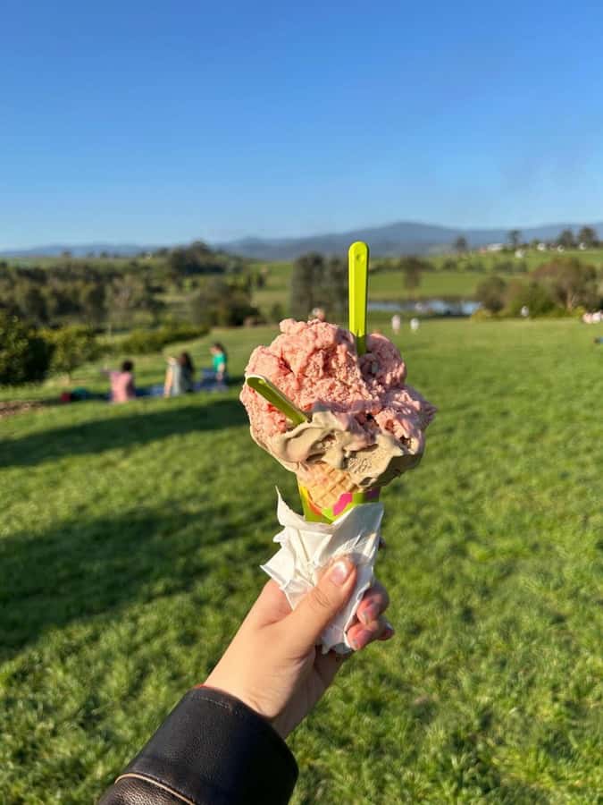 Yarra Valley Foodies Tour with Chandon and Kangaroo Safari! - Price and Value of $123, What You Are Really Paying For