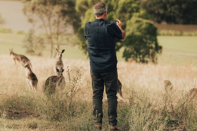 Yarra Valley Foodies Tour with Chandon & Kangaroo Safari! - Chocolaterie and Ice Creamery: private tasting plus time to browse