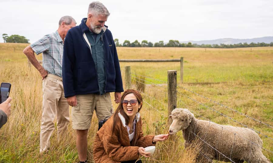 Yarra Valley Full Day Grazing Tour: Gin, Wine, Pizza, Cheese - Guides and Group Mood: The Human Part You Can Feel