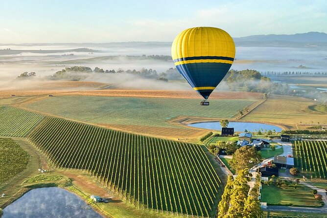 Yarra Valley Sunrise Balloon Flight with GoPro Photos - Price and value: is $355.04 per person worth it