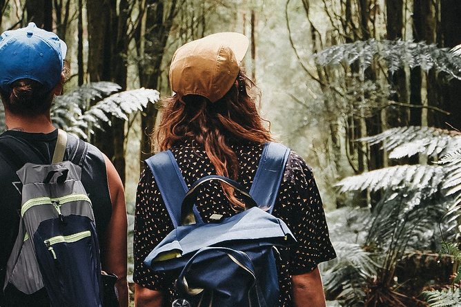 Yarra Valley Wildlife & Wine Day Tour with Healesville Sanctuary - Tips to make the day smoother, from shows to add-ons